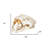 Authentic Replica Sabertooth Skull Sculpture