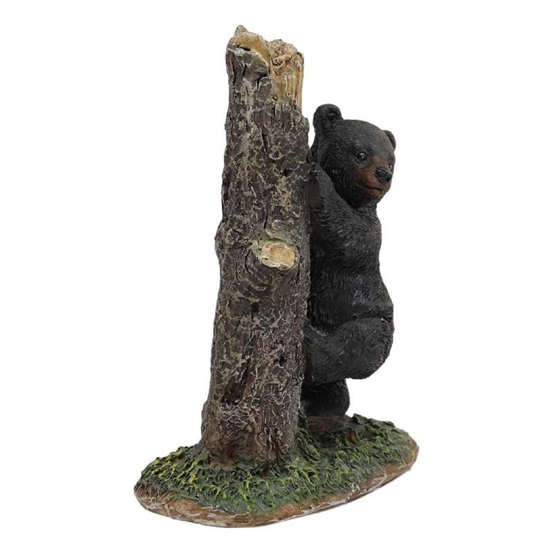 Coffre d’escalade d’ours réaliste Arreola