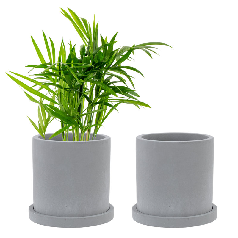 2 Piece Indoor Concrete Flower Pot Planters