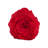 Felt Collection Appliqued Throw Pillow-721839321-699231411