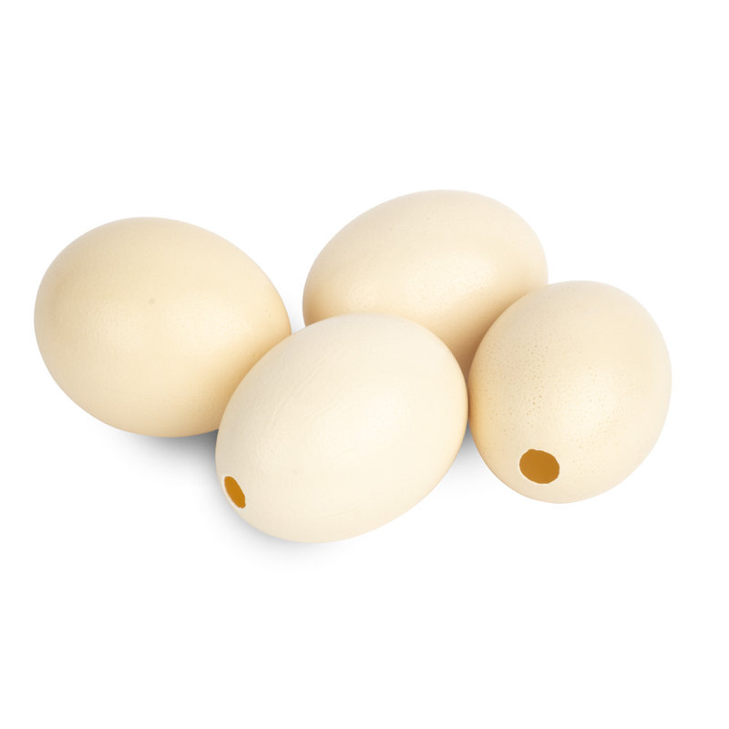 Genuine Egg