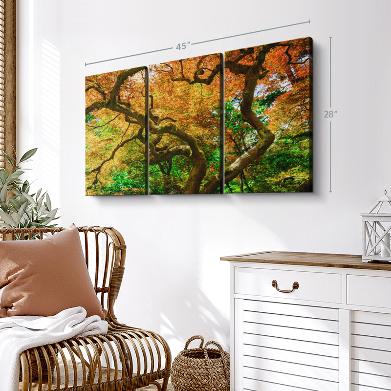 Nature «Mossy Maple Tree Canvas Print» sur, H 28 po x l 45 po x P 1,25 po