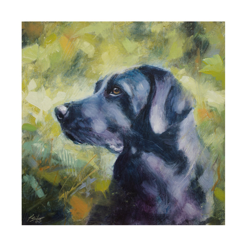 Art sur toile, Labrador noir, Labrador noir, H 14 po x l 14 po
