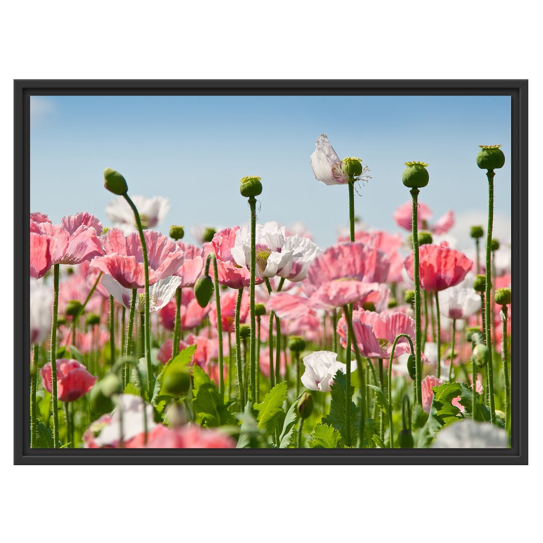 Gerahmtes Wandbild Blumenwiese Mohnblumen