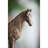 Realistic Polyresin Horse Sculpture with Copper Finish, 7” Tall Farmhouse Figurine, Decorative Equestrian Statue for Mantel, Tabletop, or Centerpiece Display 