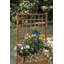 Abbott Wood Planter Box with Trellis