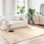Solid Colour Standard Area Rug-509379264
