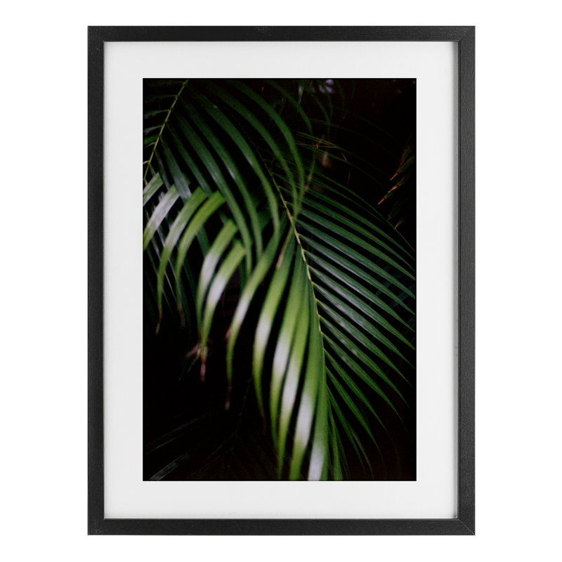 «Palm Leaves Weaving Together», reproduction encadrée sous verre, conception de Jade Sharp Photo, H 20 po x l 14 po, Noir