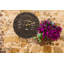 Sunface 12" Wall Clock