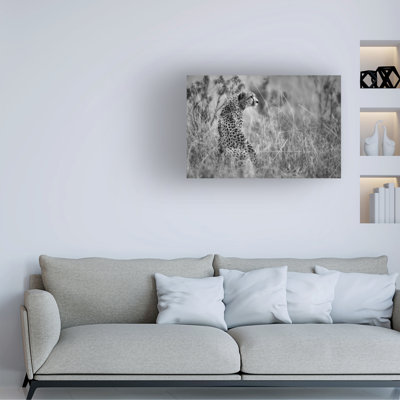 Mohammed Alnaser Dotted Beauty Canvas Art