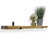 Rustic Pine