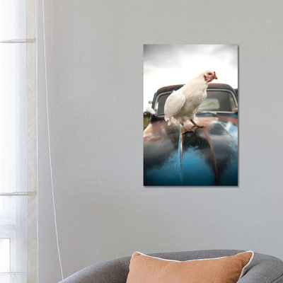 Storm Chicken - Wrapped Canvas Print
