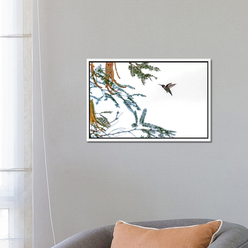 Hummingbird In Flight Isolated On White Sky by Susan Richey - Floater Frame Gallery-Wrapped Canvas Giclée on Canvas, White