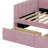 Upholstered Daybed With Ergonomic Design Backrest And 2 Drawers-1176343534