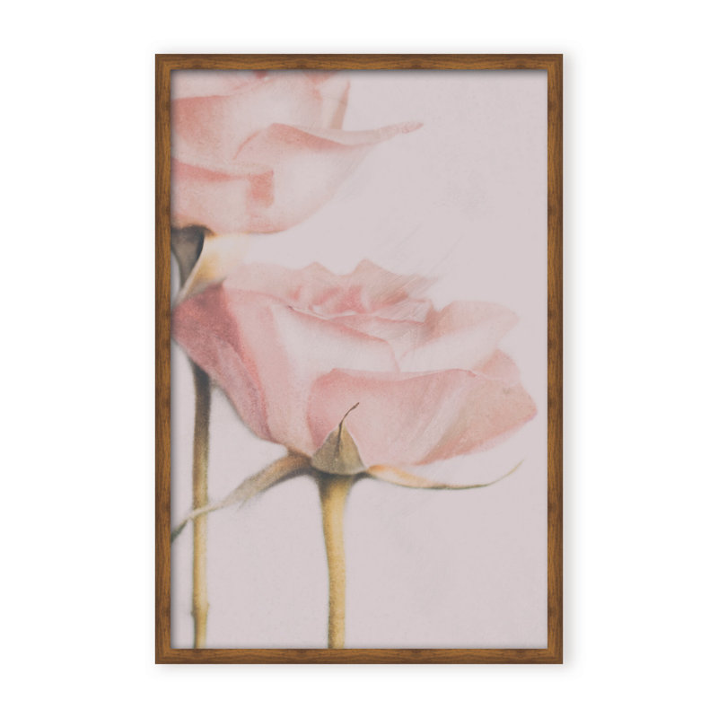 Nature Inspired Two Roses by  - Picture Frame Photograph on Paper, 48" H x 32" W x 1.125" D, Black, Framed Matted Print