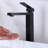 Dilon Kitchen Faucet-63263752