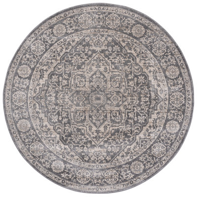 Oriental Light Gray/Ivory Area Rug