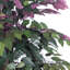 Arbre de feuillage de sol en panier
