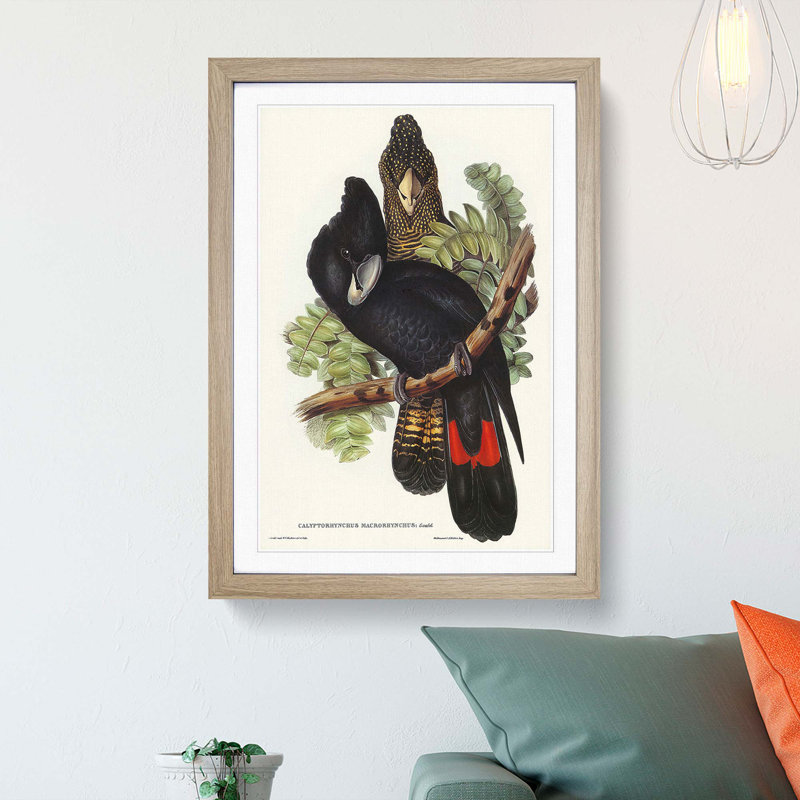 Great-Billed Black Cockatoos by Elizabeth Gould - Picture Frame Painting Print, 48cm H x 36cm W x 2cm D, Oak Framed