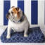 Taie D'oreiller Pour Chien Title Track-225030632-225030634