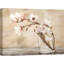 Magnolia Flowers by Cristina Mavaracchio - Wrapped Canvas Painting-497653424