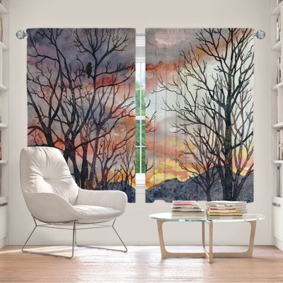 Delaughter Room Darkening Curtain