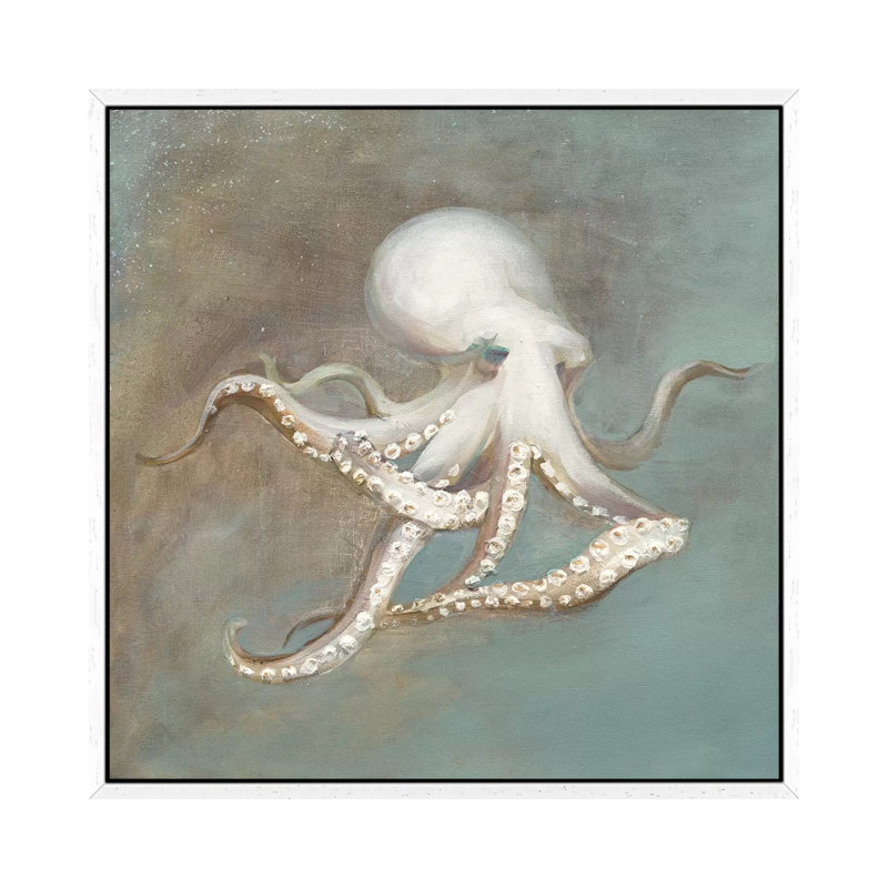 Treasures From The Sea V by Danhui Nai - Print on Canvas, White Framed, 66.04 cm H x 66.04 cm W