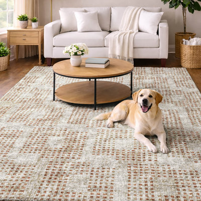 Tapis à poils longs de qualité supérieure lavable à la machine Dream
