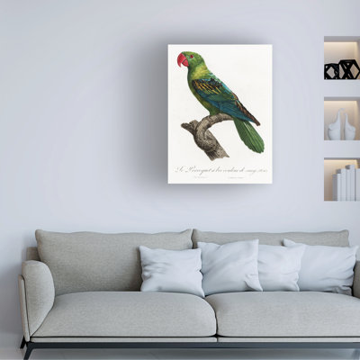 "Ologiste Perroquet X "sur toile
