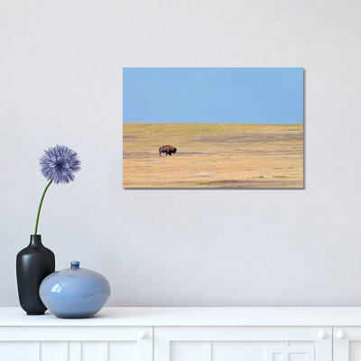 Solitary by Brian Wolf - Wrapped Canvas Print