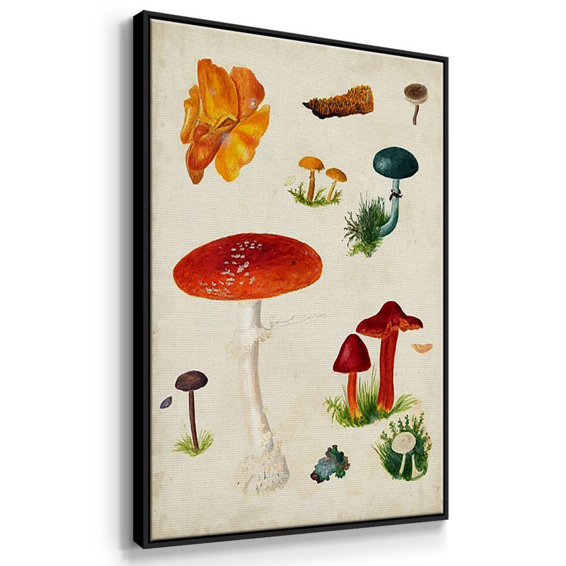 " Mushroom Species VI " 3 - Pieces, Noir, H 36 po x l 72 po x P 2 po