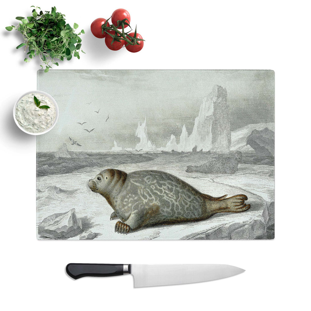 Tempered Glass Seal Illustration by Charles D' Orbigny Chopping Board