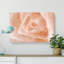 Light Pink Rose - Wrapped Canvas-56629776