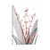 Lily Of The Blush II by Albert Koetsier - Wrapped Canvas Print