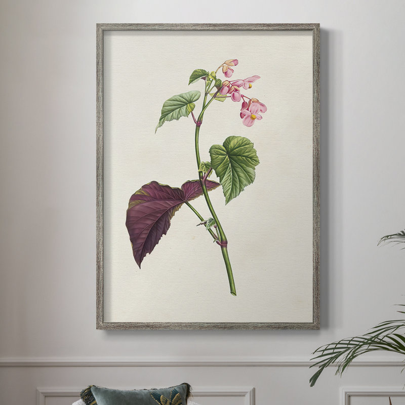 «Pretty Pink Botanicals VI», reproduction encadrée - bois massif 2768833, H 30 po x l 24 po