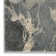 Favermann Abstract Indoor Rug