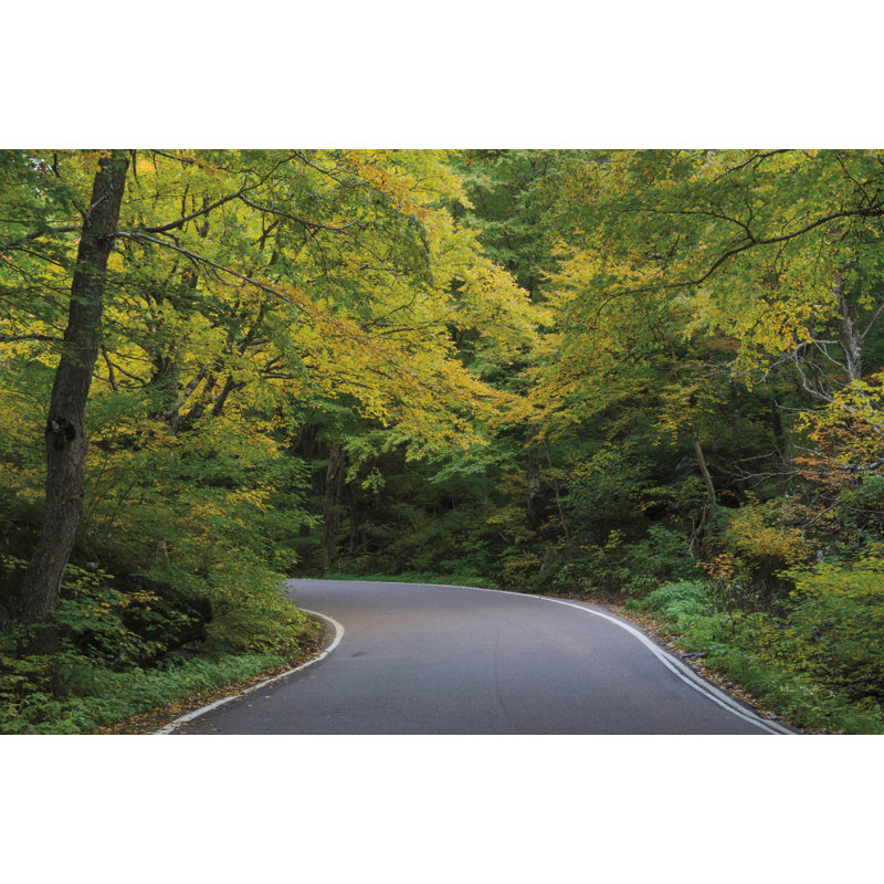 Smugglers Notch Road, H 12 po x l 18 po, Non, Cadre simple érable érable