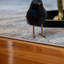 Annalies Abstract Area Rug-688343578