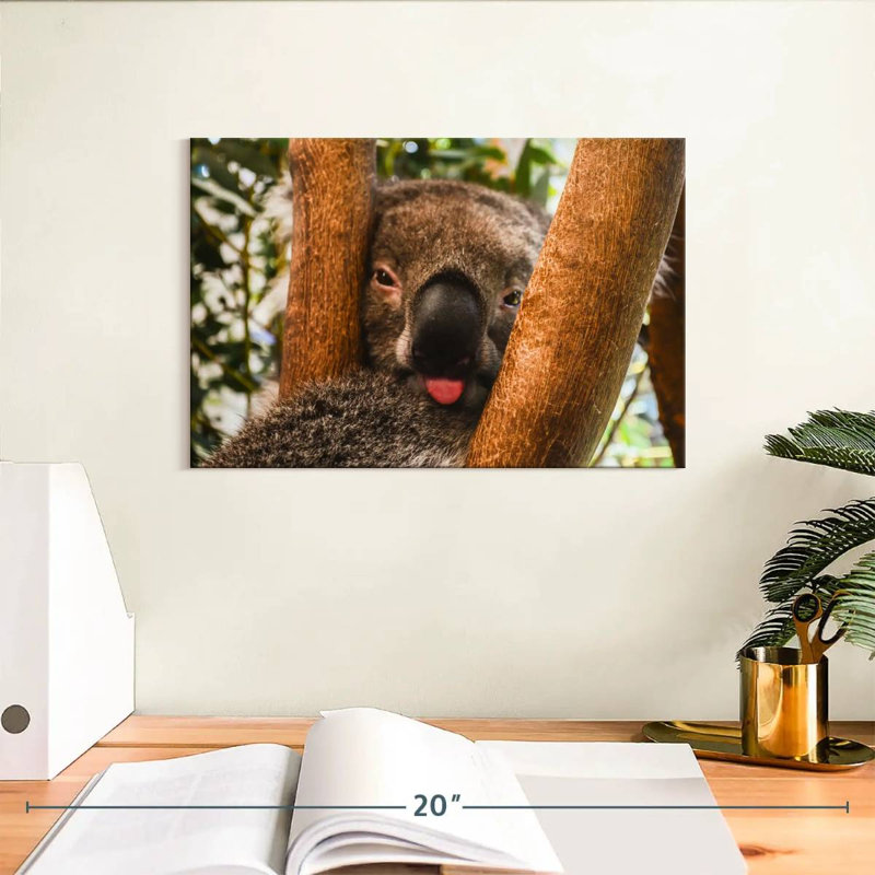 Brampt Funny Koala, 8" H x 12" W