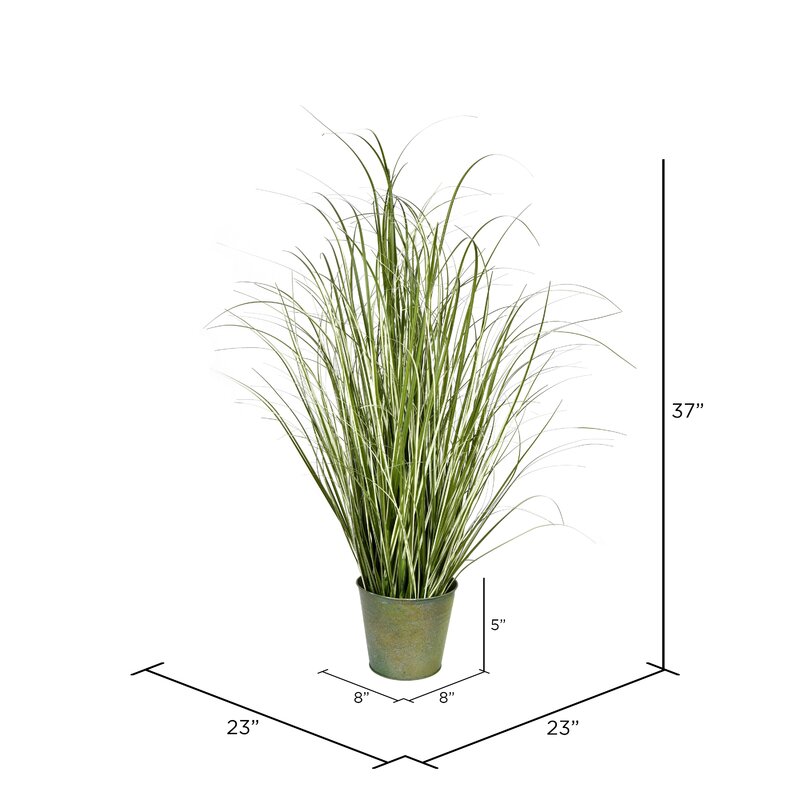 Beachcrest Home Artificial Potted Native Green Grass. & Reviews | Wayfair