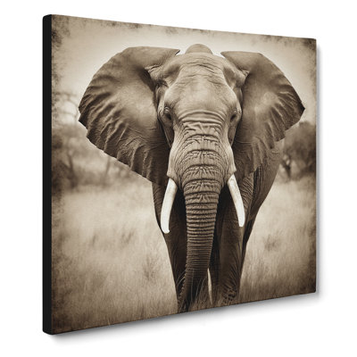 Elephant Photograph - No Frame Print