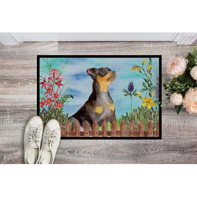 Non-Slip Outdoor Doormat