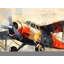 Napperon Take Off