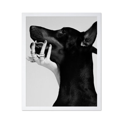 Dobermann noir