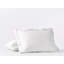 Cloud Soft Sateen Sateen Sham-67466988-67466989
