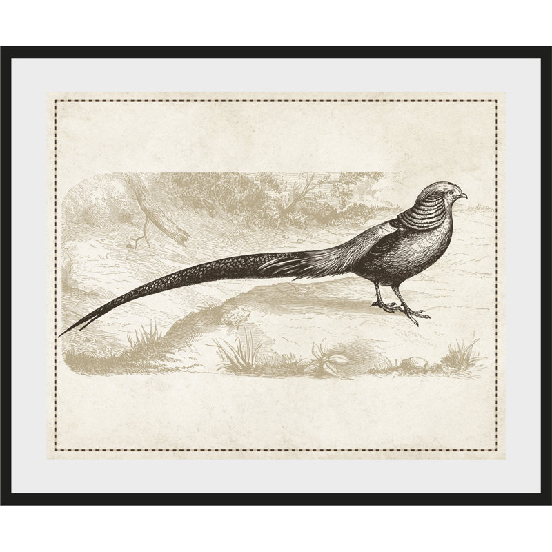Bird - Single Picture Frame Print