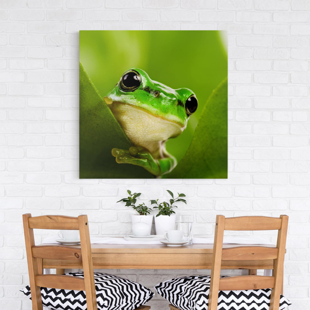 Leinwandbild Frog