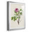 «Pretty Pink Botanicals V», reproduction de cadre photo-772318029-772318034