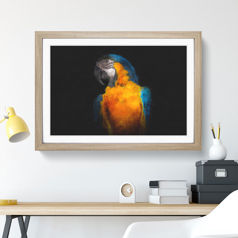 A Blue and Yellow Macaw Parrot - Picture Frame Graphic Art, Oak Framed, 48cm H x 65cm W x 2cm D