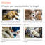 Poussette pour grands chiens, très grande poussette pour animaux de taille moyenne, chariot pour chien, chariot pliable, poignée réglable-85506082